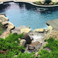 Pool Scapes