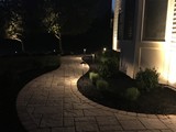 IMG_3960